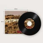 خرید صفحه گرامافون System of a down