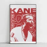 خرید تابلو Harry kane
